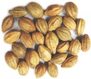 Naturals Terminalia Chebula behind 124; Kadukkai behind 124; Harad behind 124; Inknut behind 124; Haritaki Indian Origin Herbs (200g (7 oz))