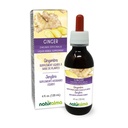 Naturalma Ginger (Zingiber officinalis) Rhizome Alcohole Free Tincture - 4 fl oz Liquid Extract in Drops - Herbal Supplement - Vegan