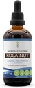 Tajemnice Tribe Kola Nut Tincture-Free Alcohol Extract, Kola nut (Cola Acuminate) Suszony Nut (4 FL OZ)
