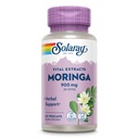 SOLARAY Moringa kapsułki 900 mg - Moringa Suplement z 135 mg saponiny - Herbal Support w / naturalnie oferujące witaminy, minerały, aminokwasy, wegan, 60- Day Guarantee, 30 Serv, 60 Vega Caps