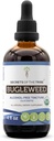 Bugleweed USDA Organic Equipment 124; Wyciąg bez alkoholu, Wysokiej potencji Zioła Dropy, układu oddechowego 124; Wykonany z 100% Certified Organic Bugleweed (Ze Lan, Lycopus Virginicus) Suszony Herb 4 oz