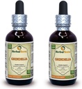 Grindelia (Grindelia Camporum) Tincture, Dried Herb Liquid Extract (Nazwa marki: HerbalTerra, Proudly Made in USA) 2x2 fl.oz (2x60 ml)
