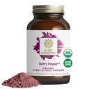 PURE SYNERGY Berry Power 124; Organic Berry and Fruit Powder Performance 124; Antioksydant Supplement with Organic Acai, Camu Camu, and Wild Blueberry Bridge 124; for Healthy Aging, Immune, and Skin Support (5.3 oz Powder)