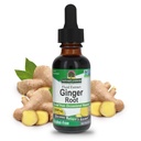 Odpowiedź przyroda Ginger Root Alcohol Free Extract 1 Unce Agregat 124; Wsparcie funkcji stomach 124; Wegan Agregat 124; Wegetariański Agregat 124; Non- GMO Agregat 124; Gluten Free