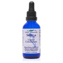 Eidon Liquid Silica Koncentrat mineralny - Silica Suplement do włosów, skóry i paznokci, Krople do wsparcia produkcji kolagenu, Pomaga zarządzać wapniem, Nie dodawany cukier - 2 oz