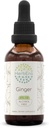 HerbEra Ginger B60 Wyciąg ziołowy wolny od alkoholu nalewka, Ginger skoncentrowana (Zingiber officinale) 2 fl oz