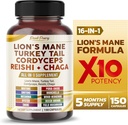Lion's Mane Turkey Tail Cordyceps Reishi Chaga - Overall Wellness Support- Made in USA