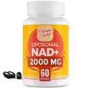 2000 MG NAD Suplement, Liposomal NAD + z wysoką absorpcją, bardziej wydajny niż Nikotynamid Riboside, Pure & Plus suplement booting, Obrona starzenia, Metabolizm & Komórki, 60 softgels
