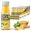 Zielony sok Organiczne ognisko Imbir Wellness Zdjęcia 12- Count 60ml Butelki szklane, Wegan & Gluten- Free