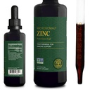 Global Healing USDA Organic Cynk Supplements Liquid - Czyste krople witaminy dla immunologicznego systemu Boost, Hormon Równowaga i Zdrowe Starzenie - Naturalne, Weganskie Przyjazne, Nie-GMO, Organic Cynk Witaminy (2 Fl Oz)