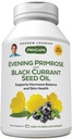 ANDREW LESSMAN Wieczór Primrose i Black Porzeczka Nasienie olej 60 Softgels - łagodzi fizyczne dyskomfort i nastrojów Swings Ze względu na cykl menstruacyjny, z Gamma-Linolenic, Omega- 6 Kwasy tłuszczowe, Brak dodatków