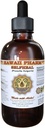 Selfheal Liquid Extract, Organic Selfhery (Prunella Vulgaris) Tincture, Herbal Supplement, Hawaii Pharm, Made in USA, 4 fl.oz