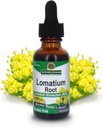 Nature’s Answer Lomatium Root Extract Lomatium Dissectum - Natural Herbal Supplement - Gluten Alcohol-Free - Ideal for Immunity Overall Health Wellbeing – 500mg (1 FL Oz)