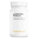 Supersmart - Lactobacillus Plantarum PostBiotic 20 Miliard CFU na dzień (Immune-LP20) - Ugorowany suplement probiotyczny ASTM 124; Non- GMO & Gluten Free - 60 Kapsułki wegetariańskie