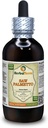 Saw Palmetto (Serenoa Repens) Tincture, Organic Dried Berries Liquid Extract (Nazwa marki: HerbalTerra, Proudly Made in USA) 4 fl.oz (120 ml)